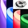 Миниатюра фото гибкий неон swg 14w/m 120led/m 4040smd разноцветный 2m 003443 | 220svet.ru