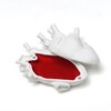 Миниатюра фото шкатулка love in a box seletti 09918 | 220svet.ru