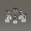 Миниатюра фото потолочная люстра lumion colett 3272/5c | 220svet.ru