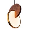 Миниатюра фото подвесной светодиодный светильник loft it 9970c | 220svet.ru