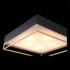Миниатюра фото потолочный светильник st luce chodo sl1127.422.05 | 220svet.ru