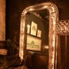Миниатюра фото зеркало рекс restoration hardware t-rex-lf-0002-e | 220svet.ru