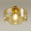 Миниатюра фото потолочный светильник odeon light binga 4747/1c | 220svet.ru
