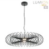 Миниатюра фото подвесной светильник lumion camomile 8301/10l черный | 220svet.ru