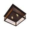 Миниатюра фото потолочный светильник loft it loft3110-2c | 220svet.ru