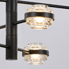 Миниатюра фото люстра mx22030002-6a black/clear delight collection | 220svet.ru