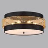 Миниатюра фото потолочный светильник lumion animaisa 8003/6c черный | 220svet.ru