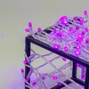 Миниатюра фото гирлянда нить с колпачком 10м фиолетовая 220в, 100 led, провод прозрачный пвх, ip65 ltc pst100cap-10-2pu | 220svet.ru