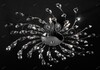 Миниатюра фото потолочная люстра lightstar isabelle 791184 | 220svet.ru