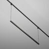 Миниатюра фото трековый светодиодный подвесной светильник maytoni points elasity tr169-1-52w3k-m-b | 220svet.ru