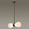 Миниатюра фото подвесная люстра odeon light exclusive elica 5418/2 | 220svet.ru