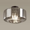 Миниатюра фото потолочный светильник odeon light binga 4746/1c | 220svet.ru