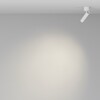 Миниатюра фото спот светодиодный поворотный maytoni focus t c141cl-l125-6w3k-w | 220svet.ru
