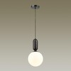 Миниатюра фото подвесной светильник odeon light okia 4668/1 | 220svet.ru