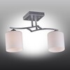 Миниатюра фото потолочная люстра omnilux pisticci oml-55307-02 | 220svet.ru