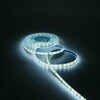 Миниатюра фото лента gauss 10w/m 60led/m 5050smd нейтральный белый 5m bt053 | 220svet.ru