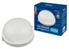Миниатюра фото потолочный светильник (ul-00006771) uniel uwl-r01 100w/e27 ip54 white | 220svet.ru