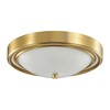 Миниатюра фото настенно-потолочный светильник lumion nina 5259/2c | 220svet.ru
