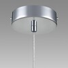 Миниатюра фото подвесной светильник lumion isha 8102/1a хром | 220svet.ru