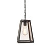 Миниатюра фото подвесной светильник loft it loft1127 | 220svet.ru