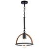 Миниатюра фото подвесной светильникtoplight jasmin tl1179h-01bk | 220svet.ru