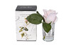 Миниатюра фото диффузор rose bud french pinспрей winter in chatou 5мл garda decor 96cn-r4600 | 220svet.ru