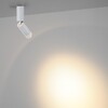 Миниатюра фото потолочный светильник odeon light ligo 7136/8cl белый | 220svet.ru