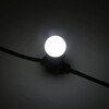 Миниатюра фото лампа ø45 мм для белт-лайта 220в, цоколь e27, 2вт, белая ltc lamp1-2w | 220svet.ru