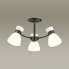 Миниатюра фото потолочная люстра lumion wilma 4534/3c | 220svet.ru