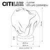 Миниатюра фото настольная лампа citilux rocka cl247088 | 220svet.ru