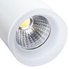Миниатюра фото трековый светодиодный светильник arte lamp hubble a6813pl-1wh | 220svet.ru