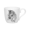 Миниатюра фото кружка &quot;удивительные животные&quot; - лошадь koenitz | 220svet.ru
