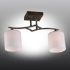Миниатюра фото потолочная люстра omnilux pisticci oml-55317-02 | 220svet.ru