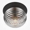 Миниатюра фото потолочный светильник maytoni reels mod268cl-01b | 220svet.ru