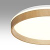 Миниатюра фото настенно-потолочный светодиодный светильник sonex gari wood 7684/el белый | 220svet.ru