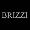 Brizzi - купить недорого в интернет магазине 220svet.ru