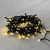 Миниатюра фото гирлянда нить с колпачком 10м шампань, 100 led, провод черный пвх, ip65 ltc pst100cap-11-2ch | 220svet.ru