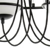 Миниатюра фото люстра lightstar 803267 | 220svet.ru