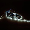Миниатюра фото лента gauss 4,8w/m 60led/m 2835smd теплый белый 2m bt003 | 220svet.ru