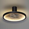 Миниатюра фото настенно-потолочный светодиодный светильник odeon light stoflake 5078/25l черный | 220svet.ru
