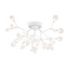 Миниатюра фото потолочная люстра freya florencia fr5049cl-27w1 | 220svet.ru