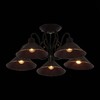 Миниатюра фото потолочная люстра evoluce ciolla sle120402-05 | 220svet.ru
