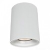 Миниатюра фото потолочный светильник arte lamp torre a1532pl-1wh | 220svet.ru