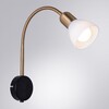 Миниатюра фото бра arte lamp falena a3116ap-1bk | 220svet.ru
