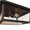 Миниатюра фото потолочный светильник loft it loft3110-2c | 220svet.ru