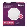 Миниатюра фото настенно-потолочный светодиодный светильник ritter dpp01-12-4k-r 56025 8 | 220svet.ru