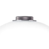 Миниатюра фото настольная светодиодная лампа lightstar colore 805906 | 220svet.ru