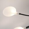Миниатюра фото потолочная люстра arte lamp guimet a7423pl-20bk | 220svet.ru
