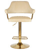 Миниатюра фото стул барный dobrin charly gold lm-5019-n_g-m_v-mj9-10-12142 | 220svet.ru