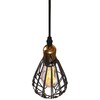 Миниатюра фото подвесной светильник loft it loft2009/1 | 220svet.ru